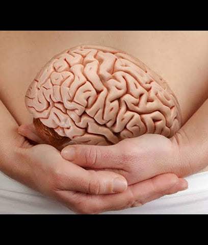 Talk santé : l'intestin, le deuxième cerveau du corps humain avec Didier