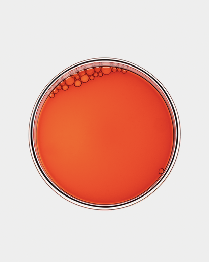 Sérum Glow & Protect